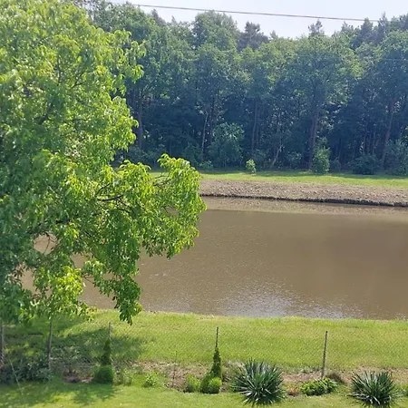 Daire Pod Lasem Tenczynek